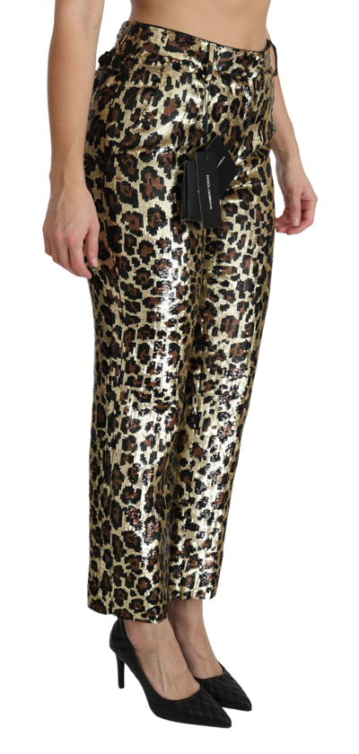 Shop Dolce & Gabbana Brown Leopard Sequined High Waist Women's Pants In Gold