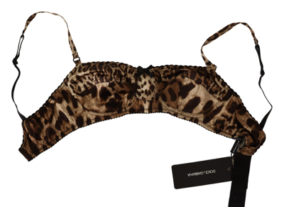 Shop Dolce & Gabbana Brown Leopard Women Bra Nylon Spandex Women's Underwear