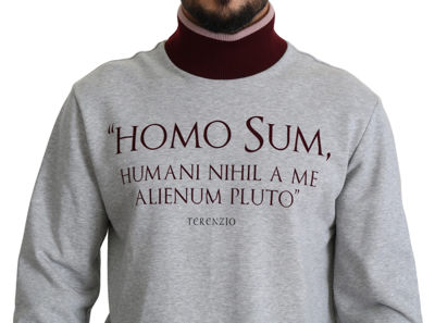 Shop Dolce & Gabbana Gray Homo Sum Turtleneck Pullover Men's Sweater