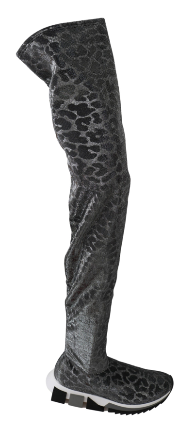 Shop Dolce & Gabbana Gray Leopard High Top Sneakers Booties Women's Shoes