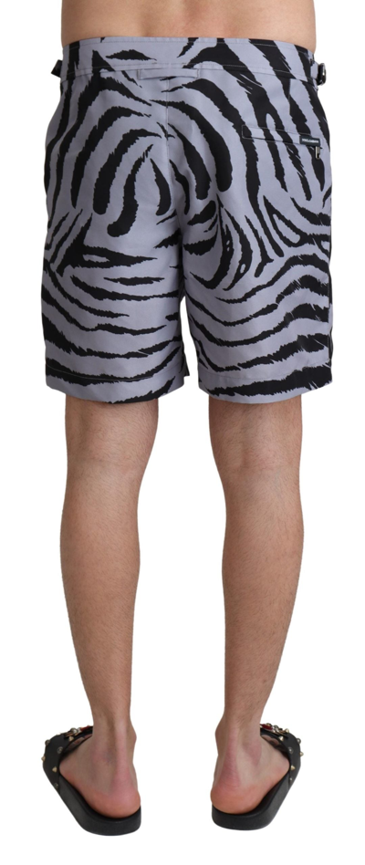 Shop Dolce & Gabbana Gray Zebra Print Beachwear Men's Shorts