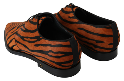Shop Dolce & Gabbana Tiger Pattern Dress Shoes With Pony Women's Hair In Orange