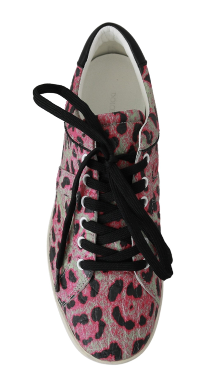 Shop Dolce & Gabbana Pink Leopard Print Training Leather Flat Women's Sneakers In Multicolor