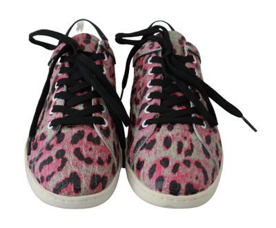 Shop Dolce & Gabbana Pink Leopard Print Training Leather Flat Women's Sneakers In Multicolor