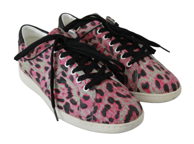 Shop Dolce & Gabbana Pink Leopard Print Training Leather Flat Women's Sneakers In Multicolor