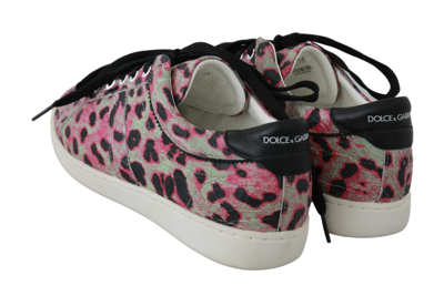 Shop Dolce & Gabbana Pink Leopard Print Training Leather Flat Women's Sneakers In Multicolor