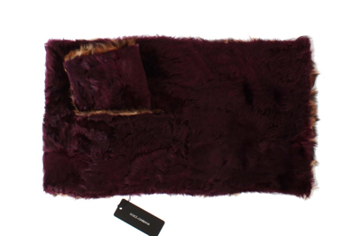 Shop Dolce & Gabbana Purple Lamb Fur Leopard Print Women's Scarf