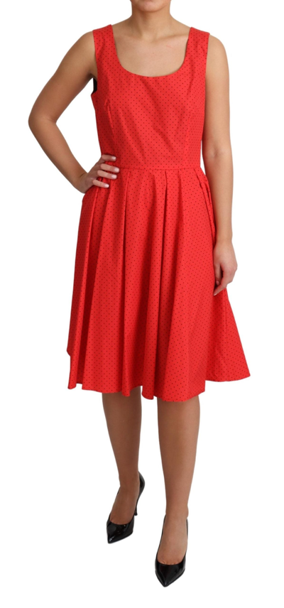 Shop Dolce & Gabbana Red Polka Dotted Cotton A-line  Women's Dress