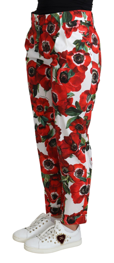 Shop Dolce & Gabbana White Anemone Print Tapered Cotton Trouser Women's Pant