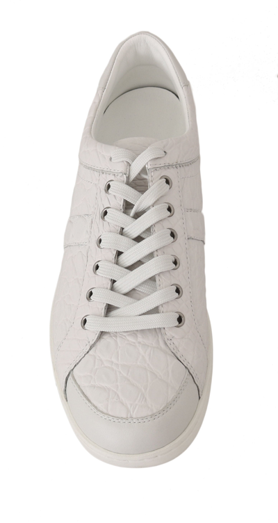 Shop Dolce & Gabbana White Caiman Crocodile Sneaker Men's Shoes