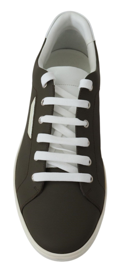 Shop Dolce & Gabbana White Green Leather Low Top Sneakers Men's Shoes