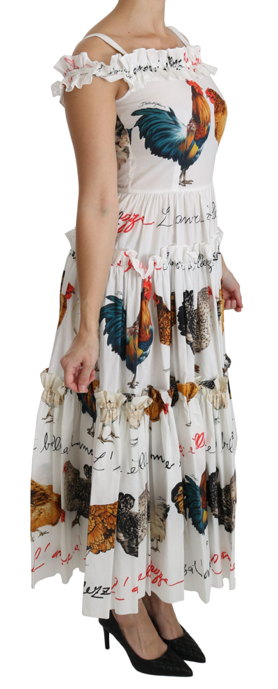 Shop Dolce & Gabbana Elegant White Rooster Print Sheath Midi Women's Dress
