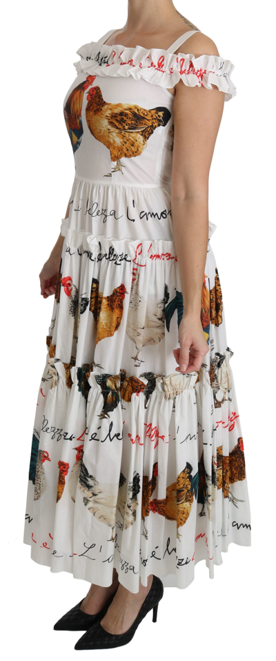 Shop Dolce & Gabbana Elegant White Rooster Print Sheath Midi Women's Dress