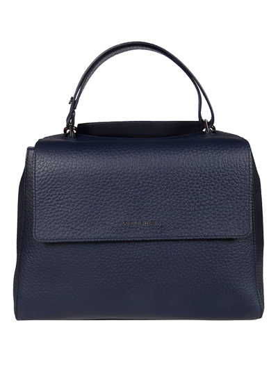 Shop Orciani Women's Blue Leather Handbag