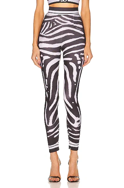 Shop Dolce & Gabbana Printed Leggings In Zebra