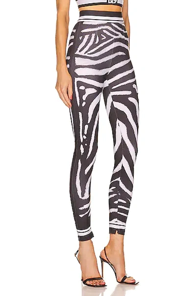 Shop Dolce & Gabbana Printed Leggings In Zebra