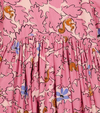 Shop Morley Radar Squirrel Printed Cotton Dress In Pink