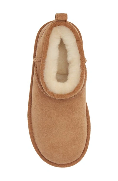 Shop Ugg Kids' Classic Ultra Water Resistant Genuine Shearling Mini Boot In Chestnut