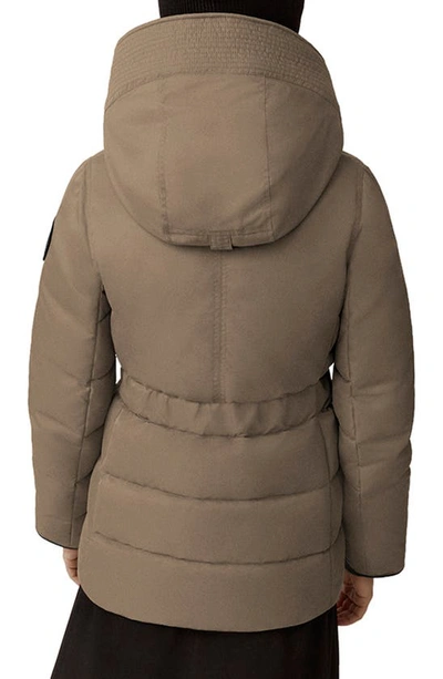 Shop Canada Goose Merritt Water Resistant Recycled Nylon Hooded Down Jacket In Quicksand