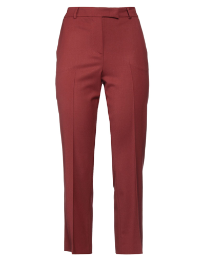 Shop Ql2  Quelledue Ql2 Quelledue Woman Pants Brick Red Size 4 Virgin Wool, Lycra