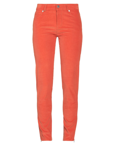 Shop Loro Piana Pants In Orange