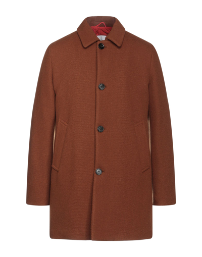 Shop Paltò Coats In Brown