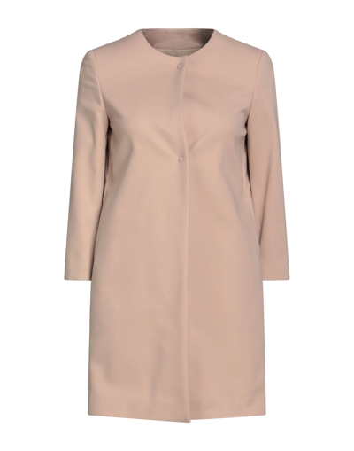 Shop Annie P . Woman Overcoat & Trench Coat Light Brown Size 8 Cotton, Elastane In Beige