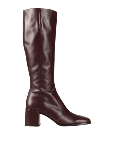 Shop Chie Mihara Woman Boot Dark Brown Size 6 Soft Leather