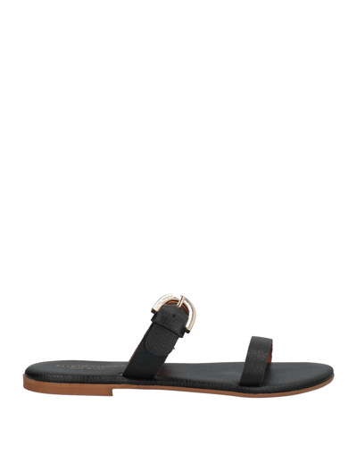 Shop Plinio Visona' Woman Sandals Black Size 6 Soft Leather
