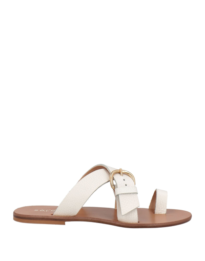 Shop Soldini Toe Strap Sandals In White