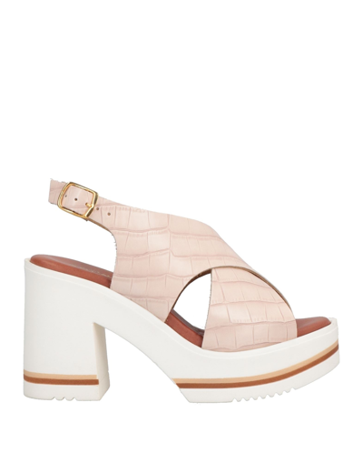Shop Soldini Sandals In Light Pink