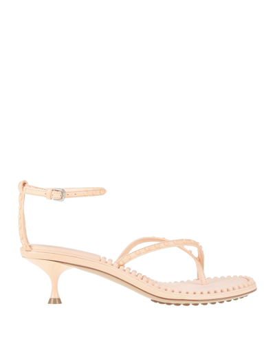 Shop Bottega Veneta Woman Thong Sandal Light Pink Size 8 Soft Leather