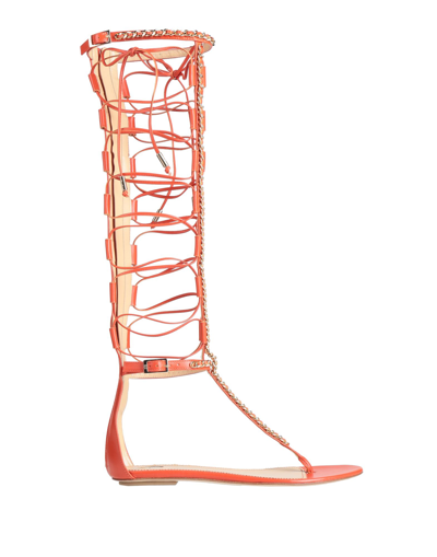 Shop Elisabetta Franchi Toe Strap Sandals In Orange