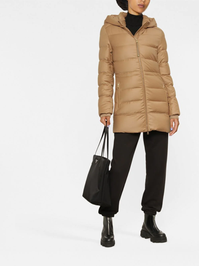 Shop Woolrich Hooded Padded Down Parka In Braun