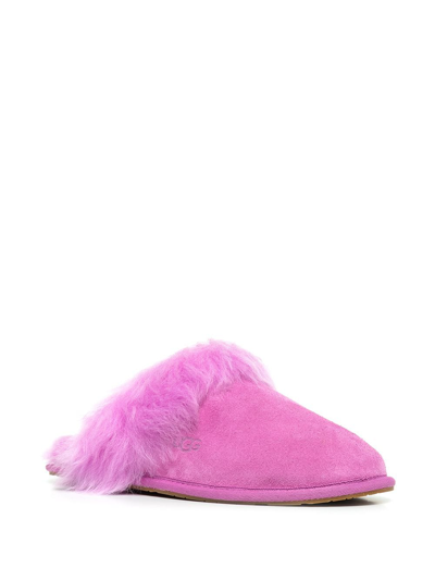 Shop Ugg Scuff Sis Slippers In Pink