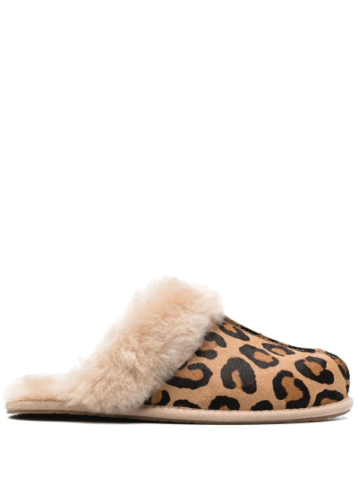Shop Ugg Scuffette Ii Leopard Print Slippers In Neutrals