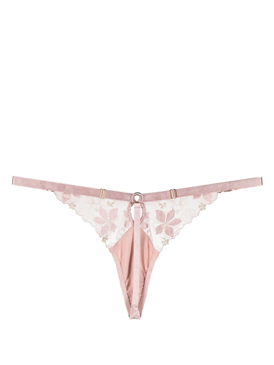 Shop Bordelle Vita Floral-embroidered Thong In Pink