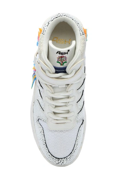 Shop Ash Parker Rainbow High Top Sneaker In White/ Multicolor