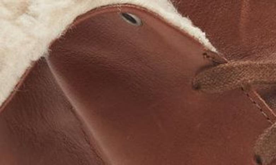 Shop Naot Pali Faux Shearling Lined Bootie In Soft Chestnut Leather