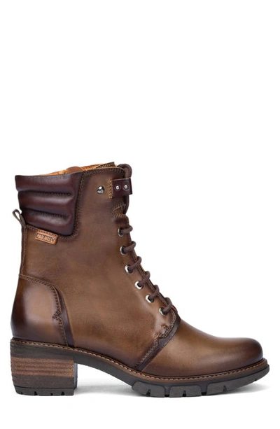 Pikolinos San Sebastia Boot In Olive