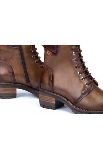 Pikolinos San Sebastia Boot In Olive