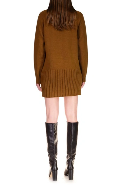 Shop Sanctuary Long Sleeve Mini Sweater Dress In Spice