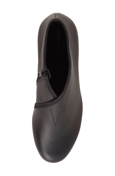 David Tate Anna Bootie In Black/black
