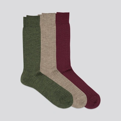 Shop Asket The Merino Sock 3-pack Light Brown/dark Green/burgundy In Light Brown,dark Green,burgundy