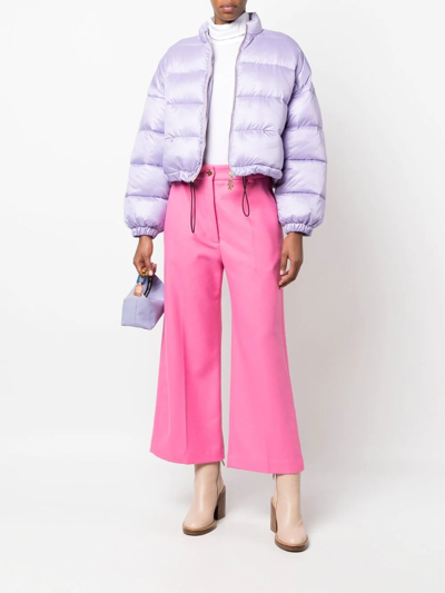 Shop Patou Cropped Flared Trousers In Rosa