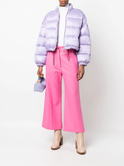 Patou Classic Flared Pants In Rosa