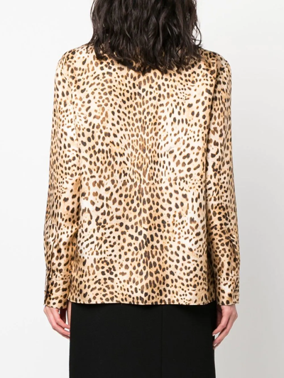 Shop Roberto Cavalli Leopard Print Concealed Placket Shirt In Neutrals