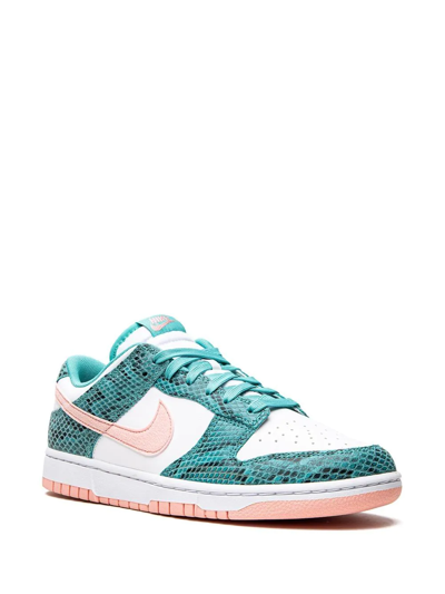 Shop Nike Dunk Low Snakeskin "washed Teal/bleached Coral" Sneakers In White