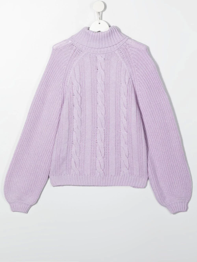 Shop Emporio Armani Cable-knit Rollneck Sweater In Purple