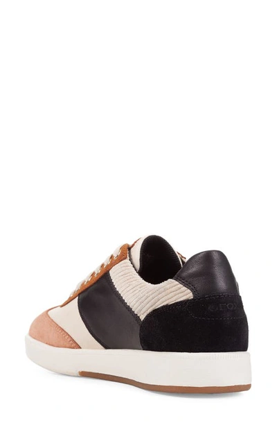 Shop Geox Meleda Sneaker In Cream/ Black